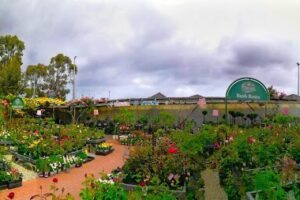 Dawson's Garden World
