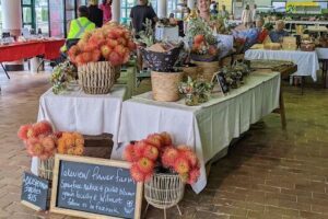 Devonport Farmers Market