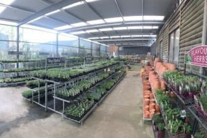 Diaco's Garden Nursery
