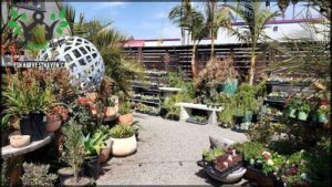 Dig Gardens