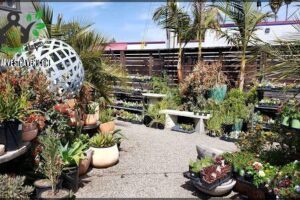 Dig Gardens