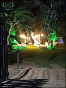 Direccion De Produccion Forestal ~Vivero Municipal~
