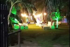 Direccion De Produccion Forestal ~Vivero Municipal~