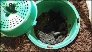Direct Compost Solutions