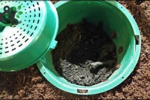 Direct Compost Solutions