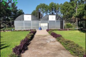 DIVINO GIARDINO - Paisajismo & Servicios