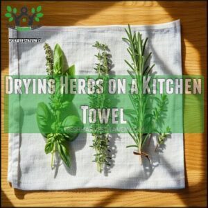 Drying Herbs on a Kitchen Towel