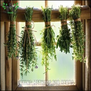 Drying Methods for Herbs