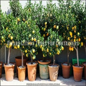 dwarf citrus trees for containers
