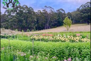 Earthenry Farm