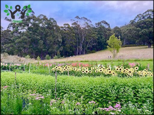 Earthenry Farm