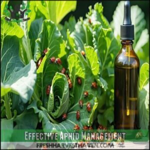 Effective Aphid Management