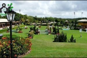 Estação Verde Jardins - Jardinagem & Paisagismo
