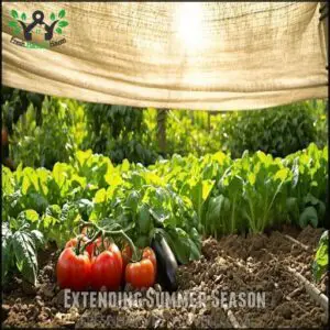 Extending Summer Season