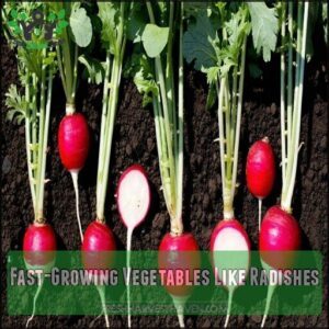 Fast-Growing Vegetables Like Radishes