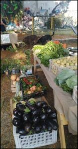 Feria AgroEcológica Candioti Sur
