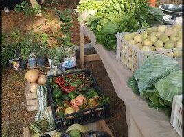 Feria AgroEcológica Candioti Sur