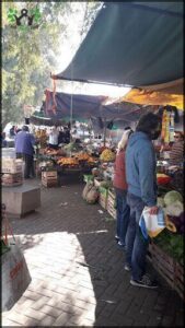 Feria de frutas y verduras