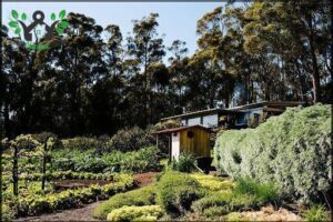 Five Bob Farm