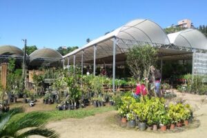 Floricultura Winge