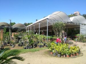Floricultura Winge