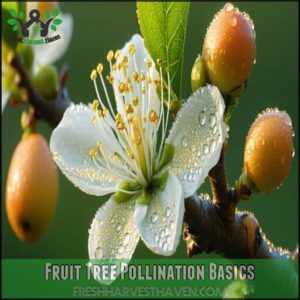Fruit Tree Pollination Basics