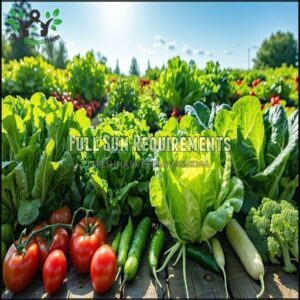 Full Sun Requirements