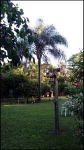 FUNDACION Los Jardines de El MORYA