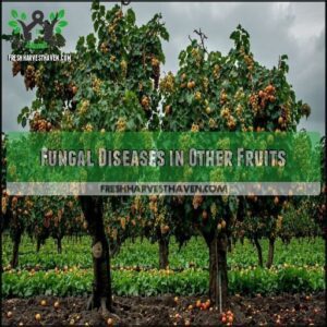Fungal Diseases in Other Fruits
