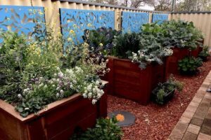 Gaia's Organic Gardens
