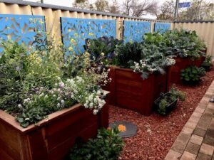 Gaia's Organic Gardens
