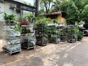 Garden Center Zona Sul