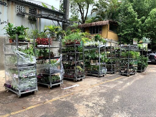 Garden Center Zona Sul