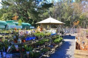 Garden Express Australia