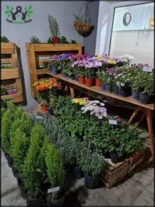 Garden Shop