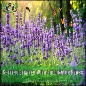 Getting Started With Pollinator Herbs