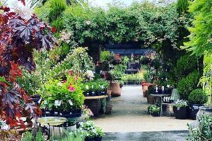 Gill's Nursery