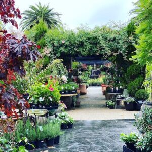 Gill's Nursery