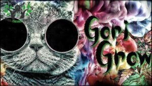 Gori Grow - GrowShop