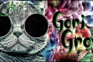 Gori Grow - GrowShop