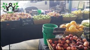 Gosford City Farmers Markets