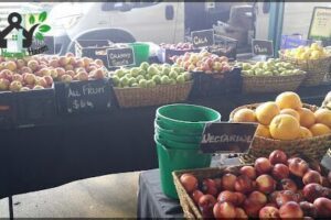 Gosford City Farmers Markets