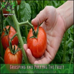 Grasping and Pulling The Fruit