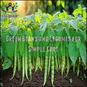 Green Beans and Legumes for Simple Care