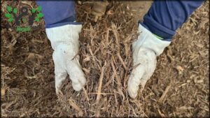 Green Waste Recycling & Mulch Centre
