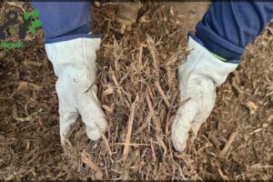 Green Waste Recycling & Mulch Centre