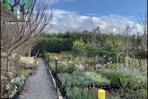 Greenhill Nursery