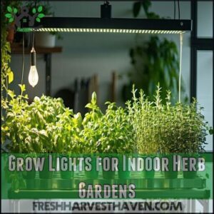 Grow Lights for Indoor Herb Gardens