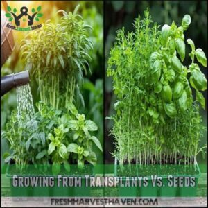 Growing From Transplants Vs. Seeds