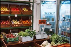Grün Mercado Sustentable